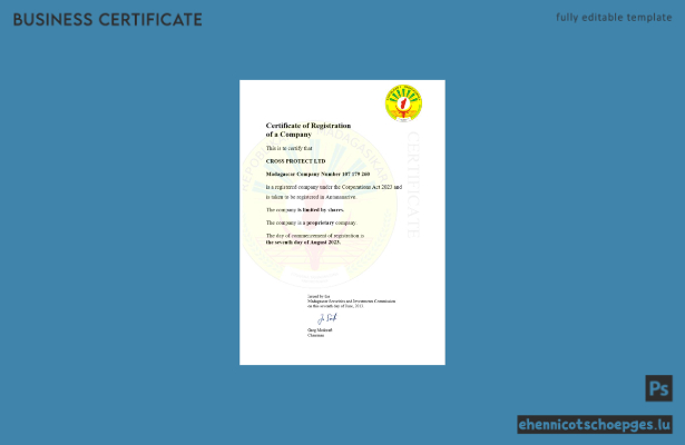Madagaskar Gewerbeanmeldung – Beispielvorschau (Word und PDF)